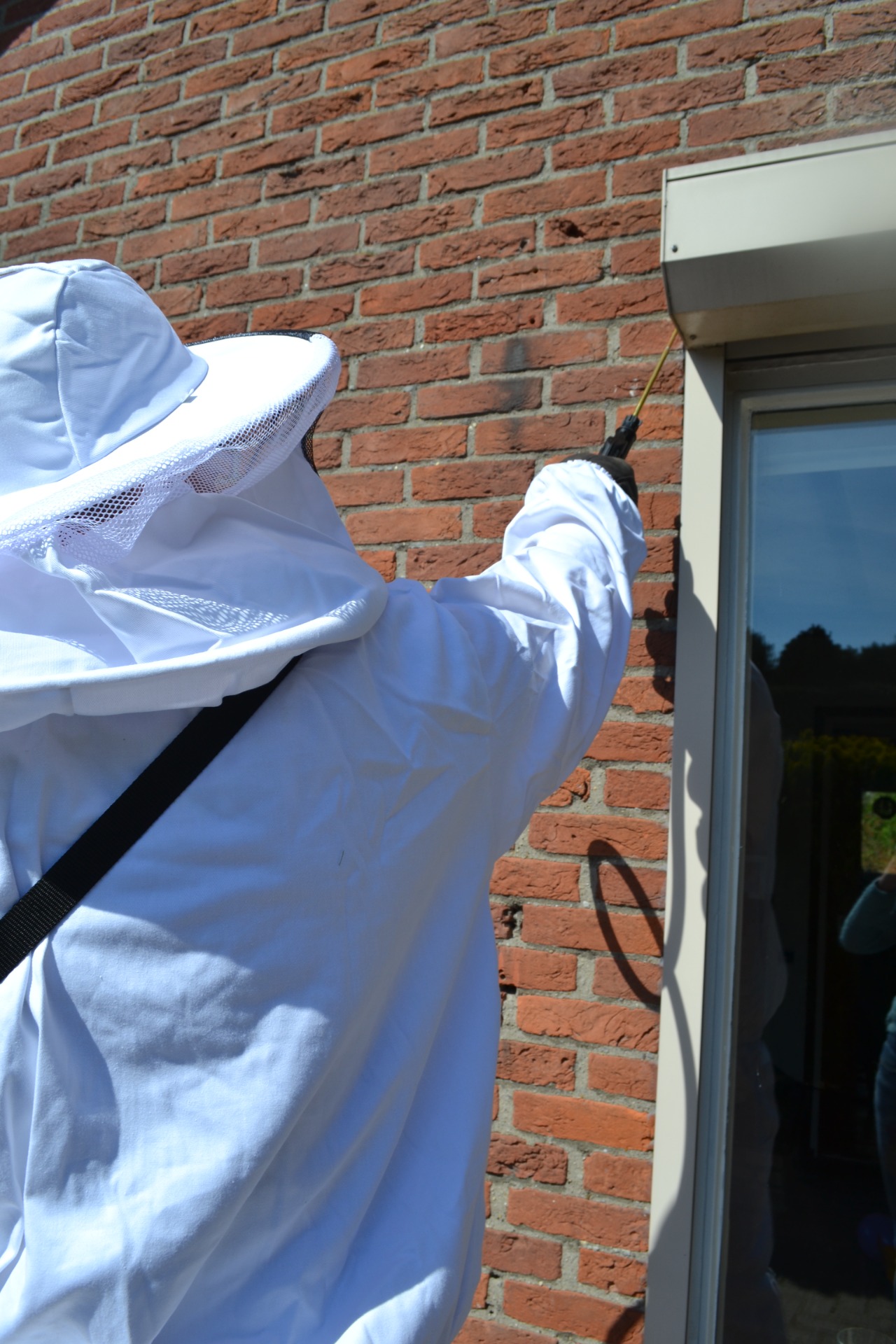 wespennest bestrijden oisterwijk